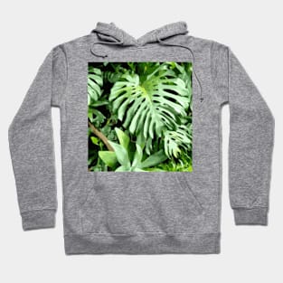 Adam's rib Hoodie